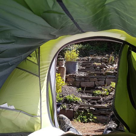 'Yellow Wood Micro Hostel-Eco Urban Bothy Style Very Basic But Cosy Redecorating But Cheap & Friendly Quiet Time Lockout 11Pm-7Am Bring Towel Or Hire Брекън Екстериор снимка